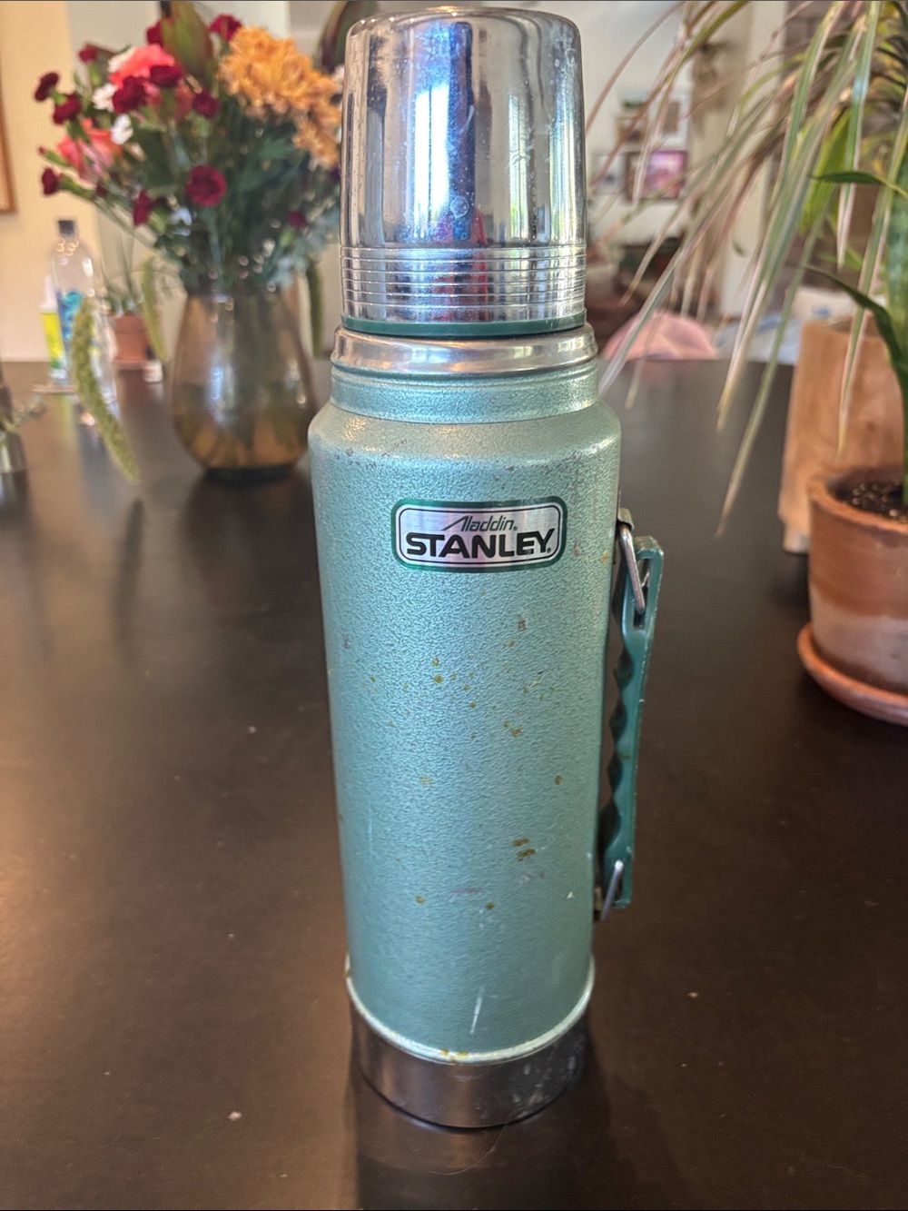 Stanley Aqua Green Stainless Vacuum Bottle with Handle